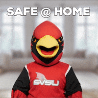 Home Coop GIF by Saginaw Valley State University