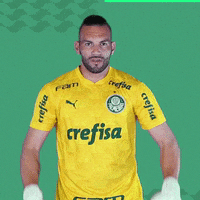Puma Goleiro GIF by SE Palmeiras