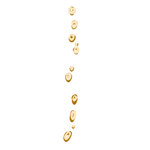 Champagne Sticker