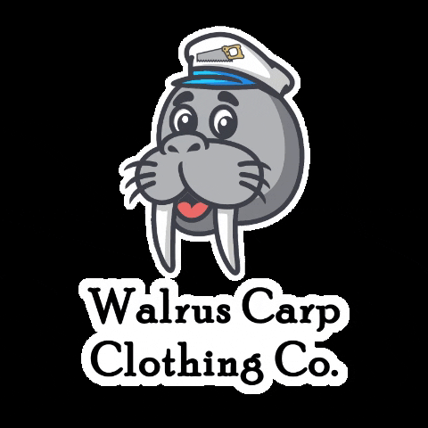 WalrusCarp walruscarp walrus carp GIF