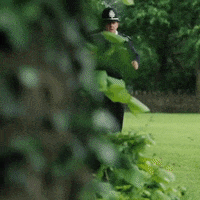 Simon Pegg Swan GIF by Working Title