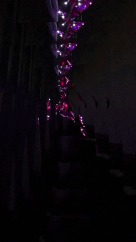 Spin Sparkle GIF by Mollie_serena