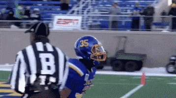 Lets Go Touchdown GIF by SDSU Football