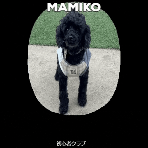 Mamiko GIF