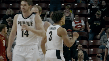 College Basketball Yes GIF by Purdue Sports