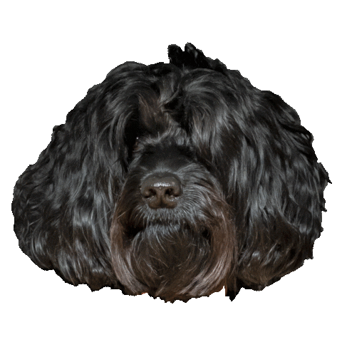 MASSWERBEREI Sticker