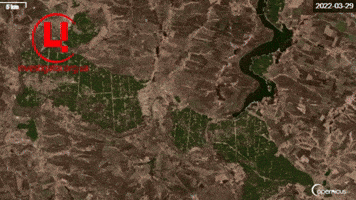 Ukraine GIF