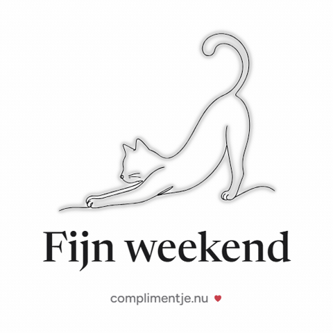 Cat Weekend GIF by Complimentje