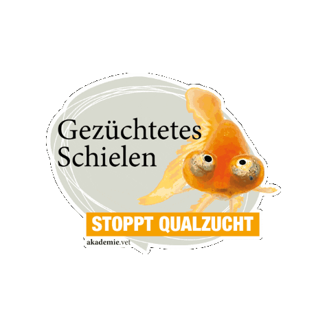 Sticker by akademievet