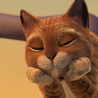 Shrek Cat Gifs Get The Best Gif On Giphy Shrek Cat Gifs Get The Best Gif On Giphy