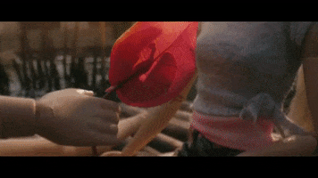 heart love GIF by Universal Music Africa