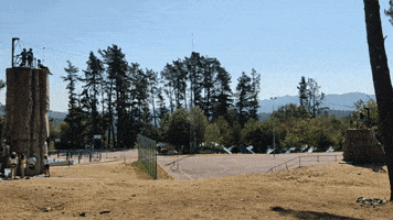 Tirolina GIF by Aventeira