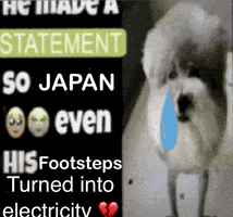 Japan Electricity GIF