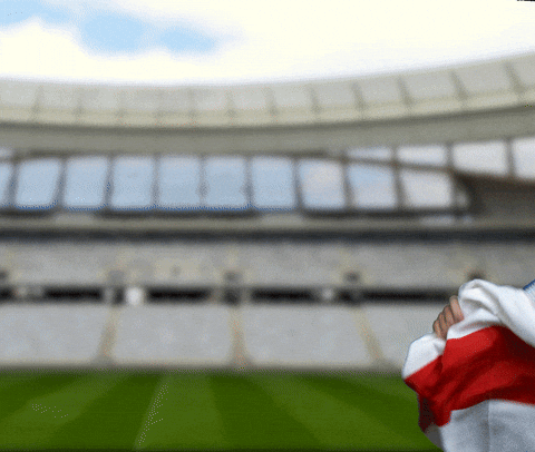 Celebrate Euro 2020 GIF by Jake Martella - Celebrate Euro 2020 GIF by Jake Martella