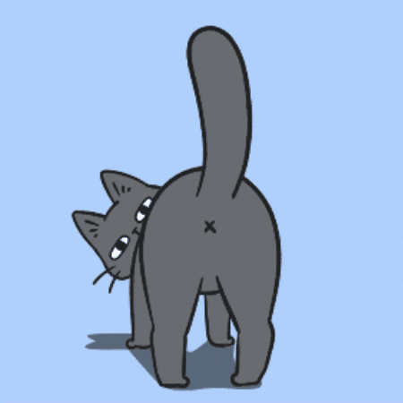 Cat Discocat GIF
