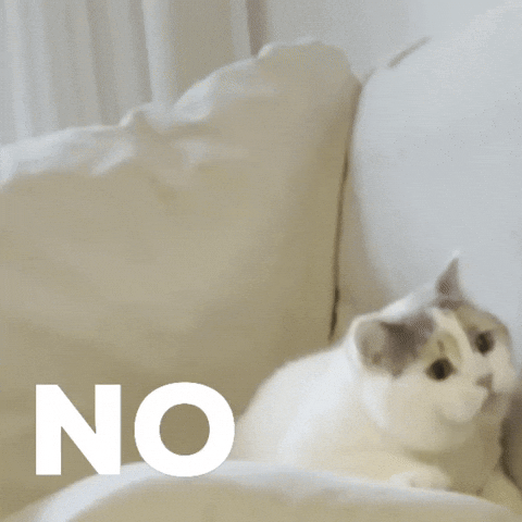No GIF