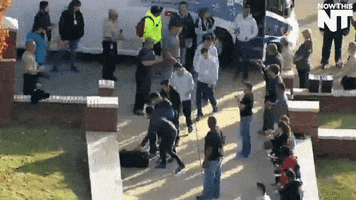 200.gif?cid=fc005b0826444b591ef6acffb191ae8ecb43bfce9fbbd748&rid=200.gif&ct=g