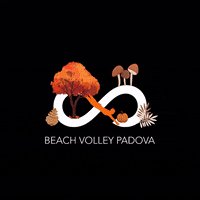 Game Falling GIF by Beach Volley Padova