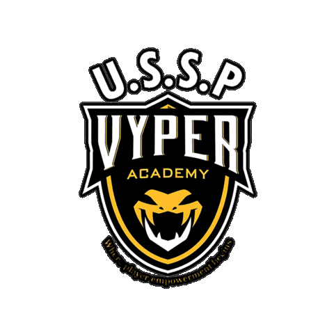 Ussp Vyper Sticker by Diaza Football