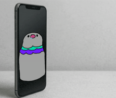 Pigeon Please GIF