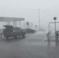 200.gif?cid=fc005b088495fd54fe909af5b6382e26bf853090cc44d714&rid=200.gif&ct=g