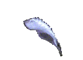 Animated Sticker
