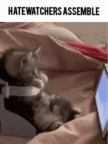 Freck Assemble GIF