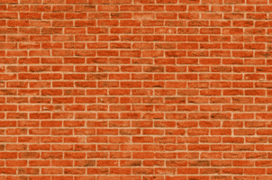 Gohabsgo GIF