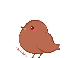 Fina Aliancas Sticker by Pratafina