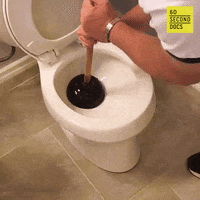 Toilet Bathroom GIF by 60 Second Docs
