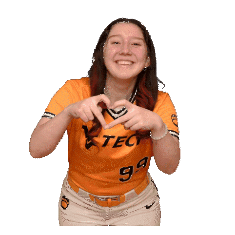 Softball Sticker by WVU Tech Golden Bears