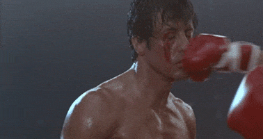 sylvester stallone fight GIF by Rocky