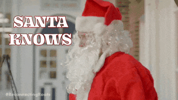 Merry Christmas Santa GIF by Reconnecting Roots