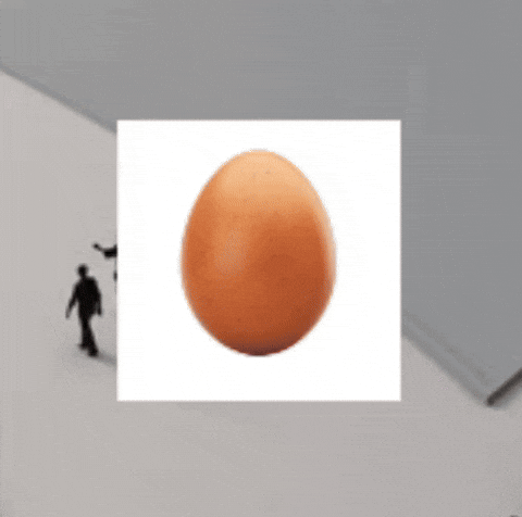 Egg Haircut GIF