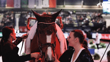 Fei World Cup Love GIF by FEI Global