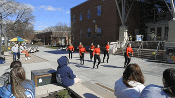 GIF by Siena College