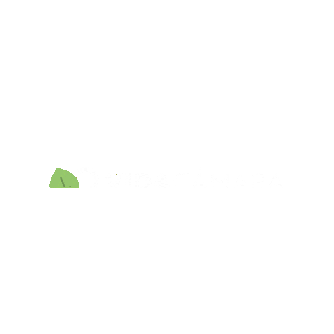 Vida Cámara Sticker