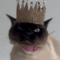 200.gif