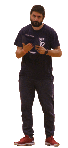 Albatros Volley Sticker