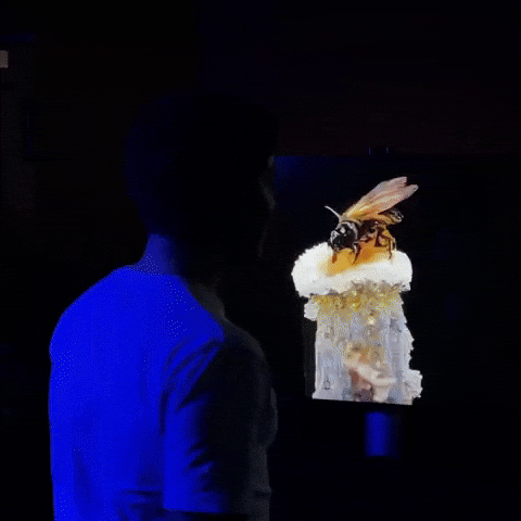 Video Art GIF by WE ARE VIDEO
