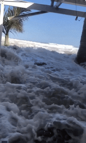 South Africa Wave GIF by Storyful