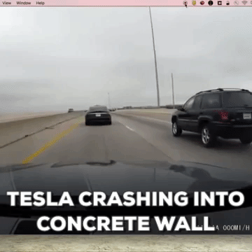 andreistirbu tesla autonomous cars GIF