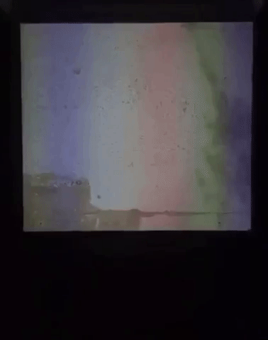 mariatymoshchuk  GIF