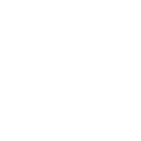 Bristol Bay Sockeye Salmon Sticker