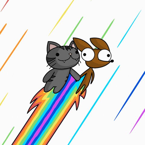 Rainbow-cats GIFs - Get the best GIF on GIPHY