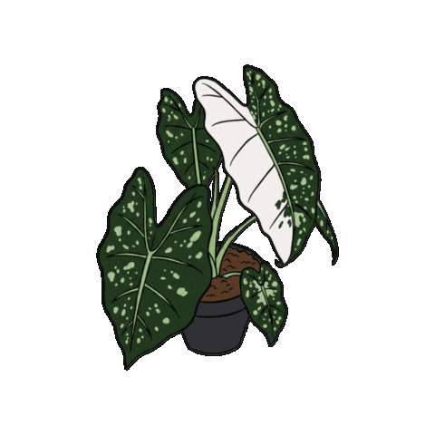 Deepbreathgreenleaves Sticker