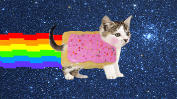Nyan Cat GIF