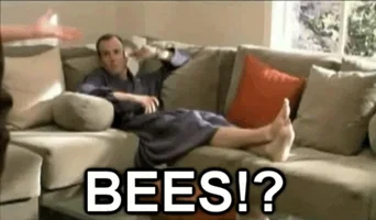 arrested development bees GIF