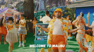 Dance Hello GIF by Malibu Rum