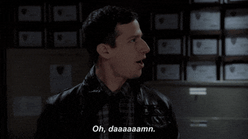 TV gif. Looking over his shoulder to the side, Andy Samberg as Jake in Brooklyn Nine-Nine turns his head to face forward while saying, "oh, daaaaamn," which appears as text.